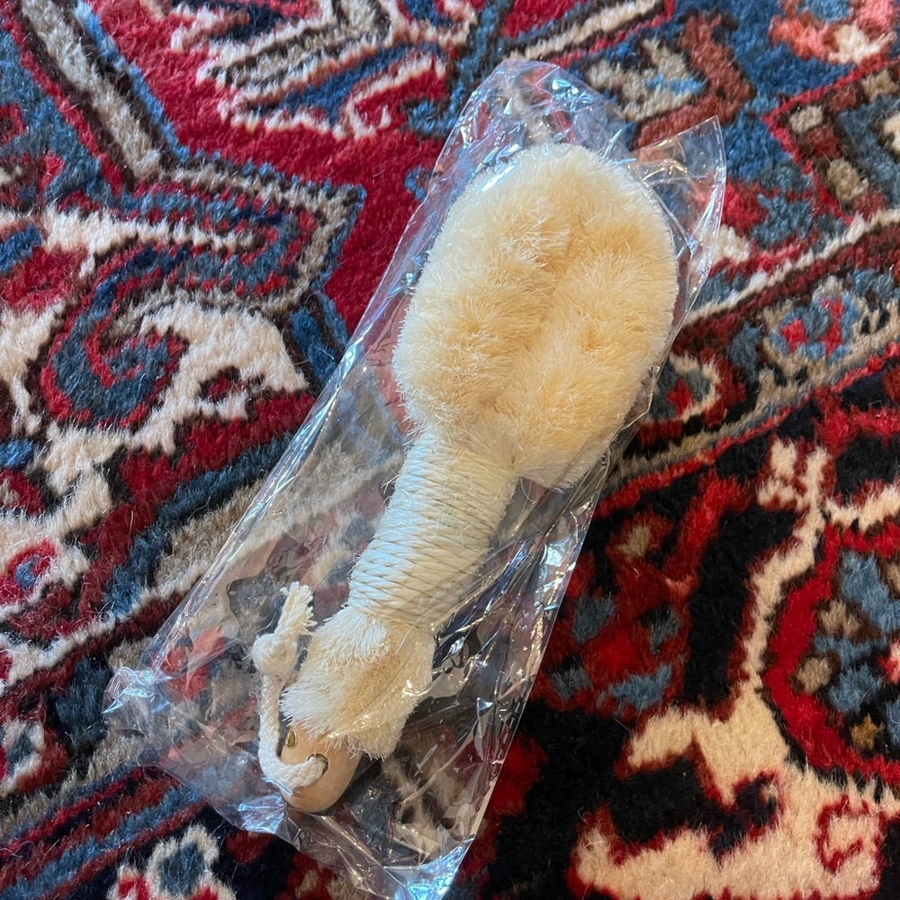 Sakara Chic dry brush
